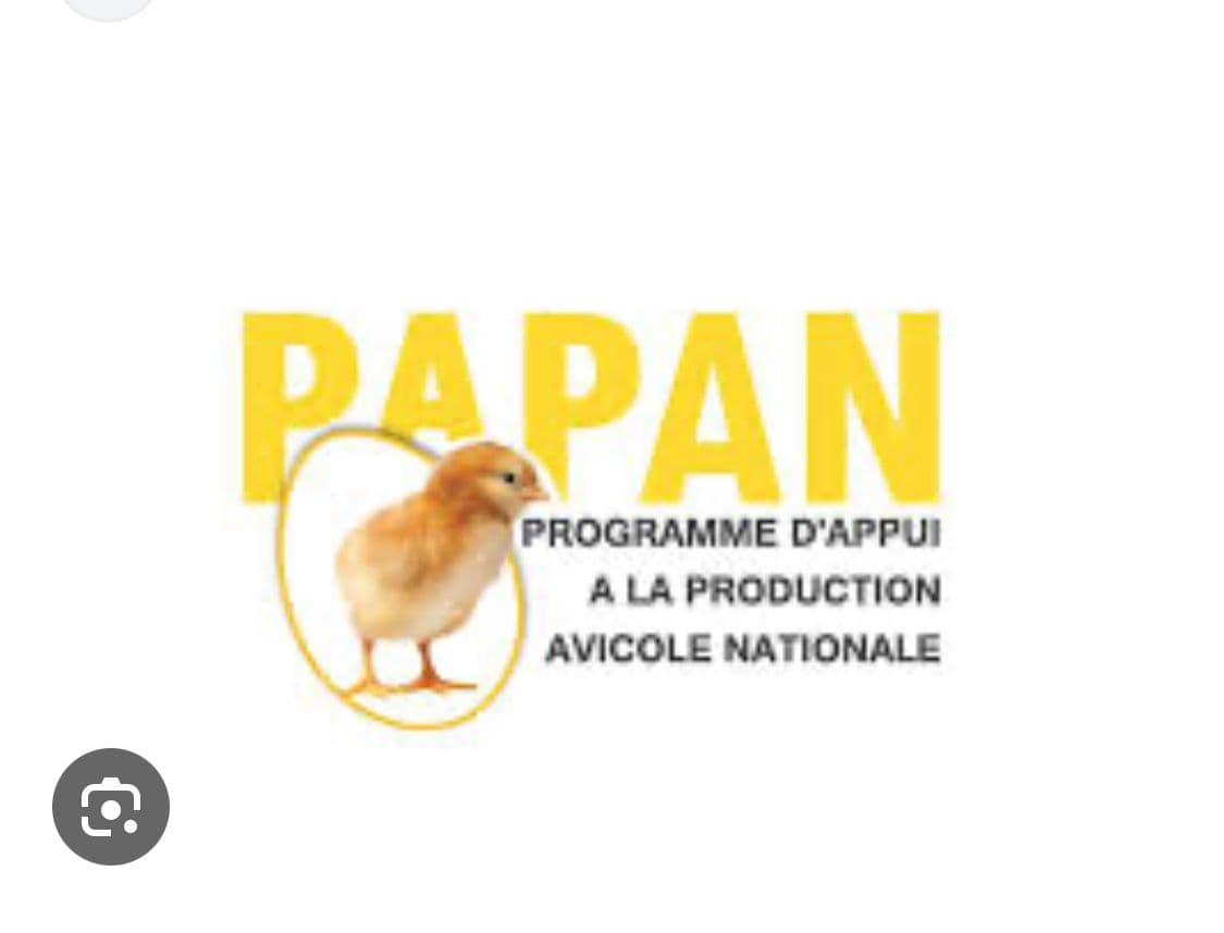 PAPAN
